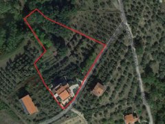 Farmhouse consisting of 6 apartments with 1 hectare of olive grove - 1