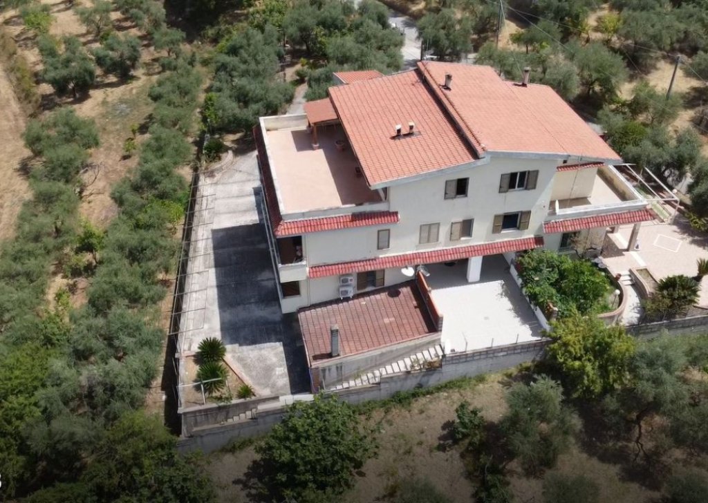 Sale Semi-Independent houses Saints Cosmas and Damian - Farmhouse consisting of 6 apartments with 1 hectare of olive grove Locality 