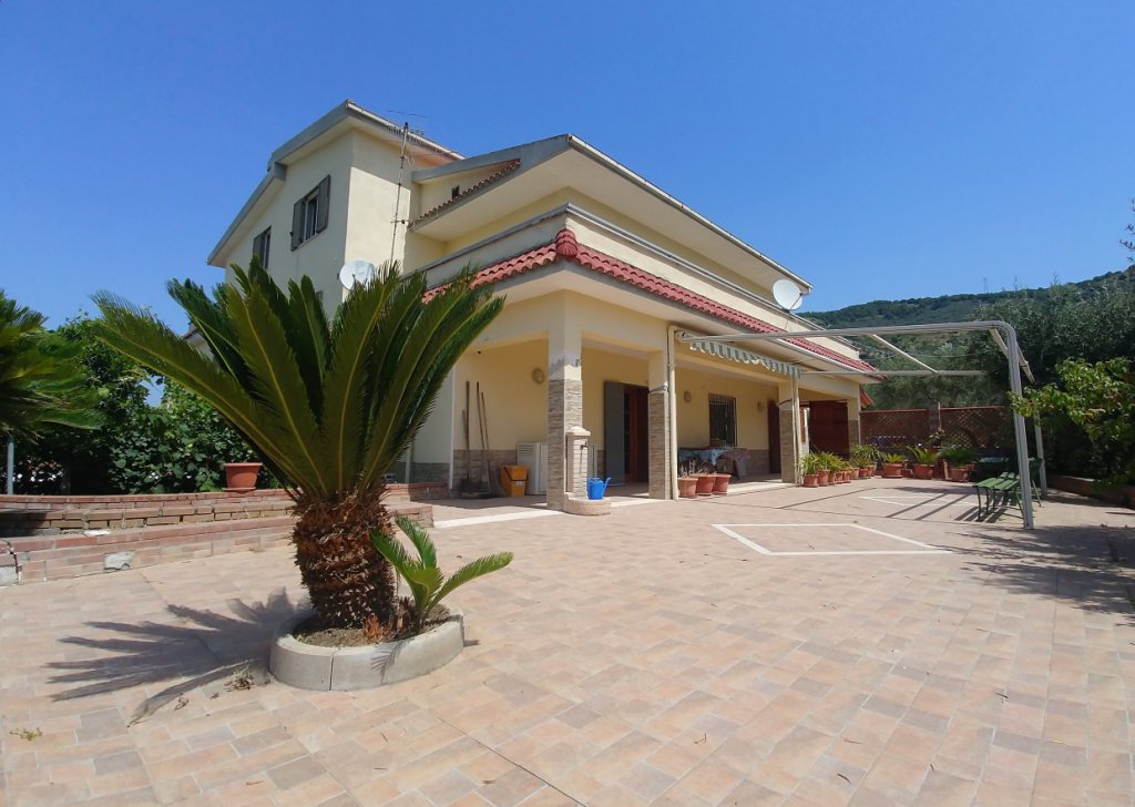 Sale Semi-Independent houses Saints Cosmas and Damian - Farmhouse consisting of 6 apartments with 1 hectare of olive grove Locality 