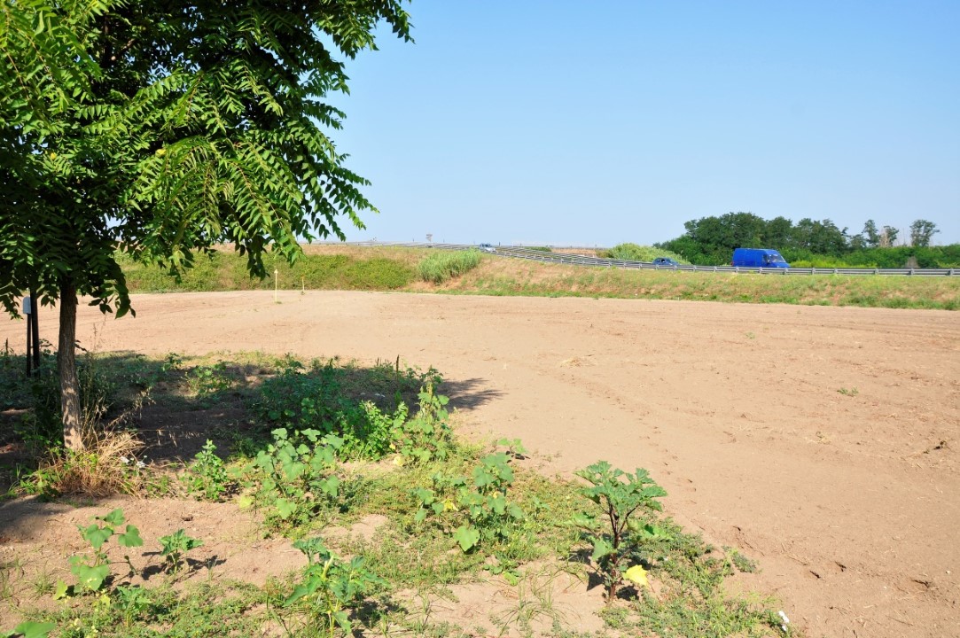 Terreno Agricolo in Vendita Giugliano in Campania